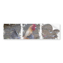 Rainbow Rooster bumper stickers by eelkat Rainbow Rooster bumper stickers