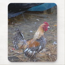 Rainbow Rooster mousepads