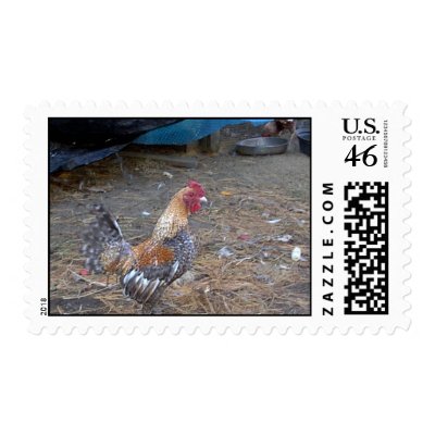 Rainbow Rooster Postage by eelkat