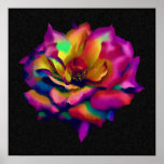 Rainbow Rose Blossom Poster (from $10.45)