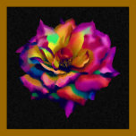 Rainbow Rose Blossom Poster (from $10.45) posters
