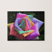 Rainbow Rose puzzles