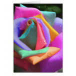 Rainbow Rose Mother's Day Card