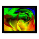 Rainbow rose posters