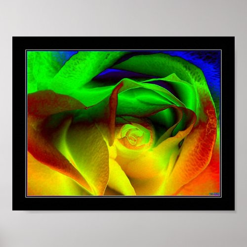 Rainbow rose print