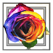Rainbow Rose posters by Floral_Dreamsnet Rainbow Rose posters