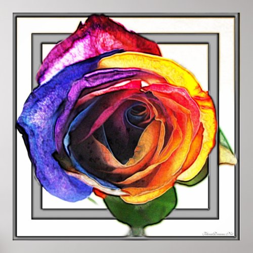 Rainbow Rose print