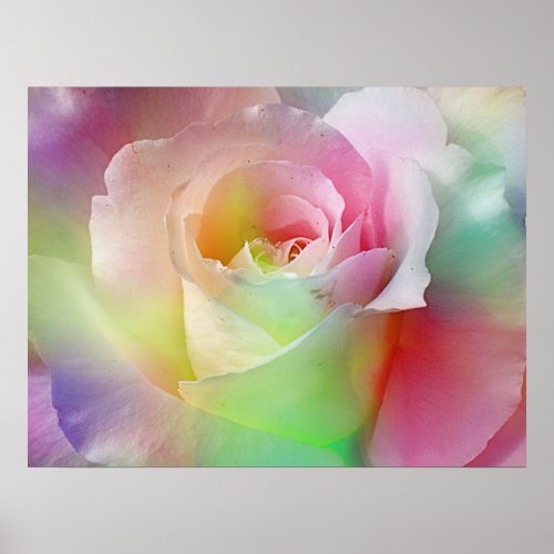 Rainbow,Rose print