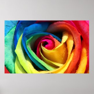 Rainbow Rose Print