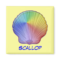 Rainbow Scallop Shell, Scallop magnets