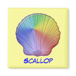 Rainbow Scallop Shell, Scallop Magnets