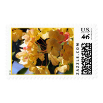 Rainbow Shower Tree Blossoms Postage