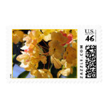 Rainbow Shower Tree Blossoms Postage
