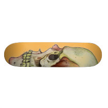 Rainbow Skull tangerine skateboards