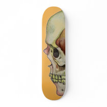 Rainbow Skull tangerine Skate Board Deck