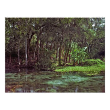 Rainbow Springs, Florida. Photograph
