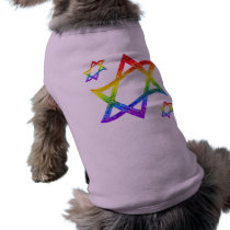 Rainbow Star of David Dog Shirts
