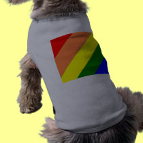 rainbow stripe pet clothing