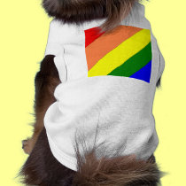 rainbow stripe pet clothing
