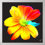 Rainbow Sunflower Poster