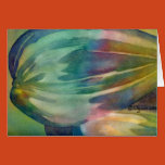 rainbow, fine art, sunflower seed, gardener,