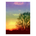 Rainbow Sunset Posters