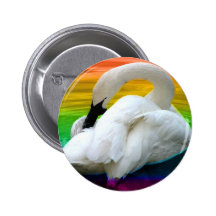 Rainbow Swan Buttons
