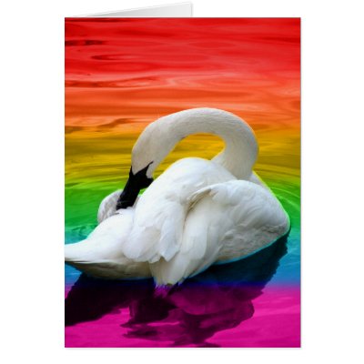 Rainbow Swan