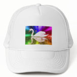 Rainbow Swan hats