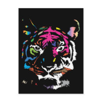 Rainbow Tiger Post Cards