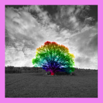Rainbow Tree posters