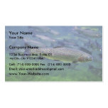 Rainbow Trout Business Card Template