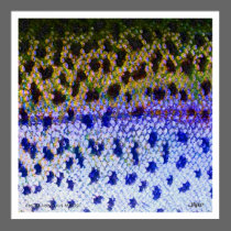 Rainbow Trout FFF Poster posters