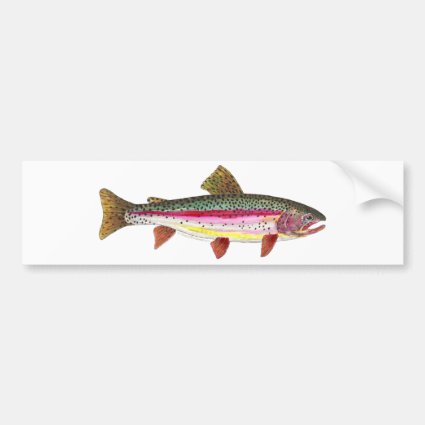 Rainbow Trout Fish Bumper Stickers