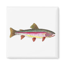 Rainbow Trout Fish Fridge Magnet