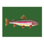 Rainbow Trout Fish Post Cards