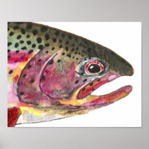Rainbow Trout Fish Posters