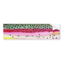 Rainbow Trout Fishing Bumper Stickers