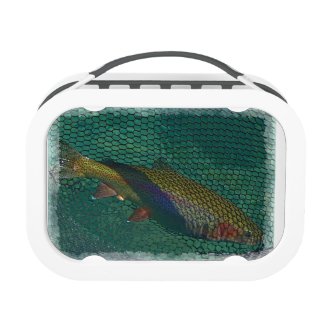 Rainbow Trout in the Net Yubo Lunchbox