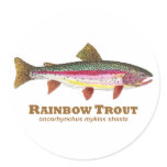 Rainbow Trout Latin Round Sticker