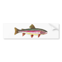 Rainbow Trout Painting bumper stickers