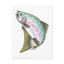 RAINBOW TROUT postcards by cabinfeverdavid RAINBOW TROUT postcards
