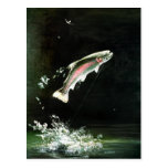 rainbow trout postcard