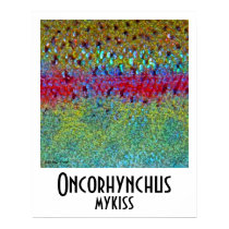 Rainbow Trout Poster posters
