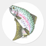 RAINBOW TROUT STICKER