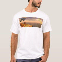 Rainbow t-shirts