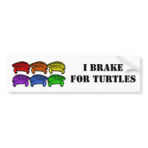 Rainbow Turtles Bumper Stickers