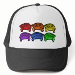 Rainbow Turtles