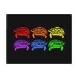Rainbow Turtles