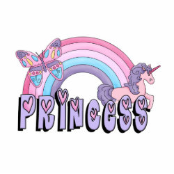 Rainbow Unicorn Butterfly Princess Design photosculpture